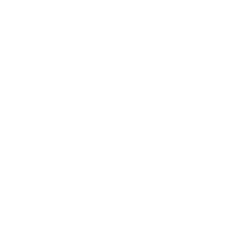 Lorenz Schmidt